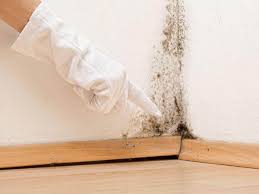 Reliable Martins Additions, MD Mold Prevention & Removal  Solutions